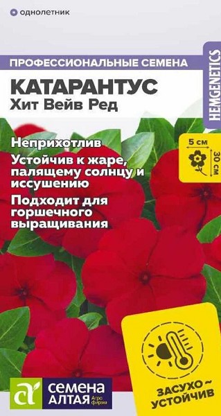семена цветы комн Катарантус Хит Вейв Ред ЦП 5шт 30см d-5см/СемАлт/10