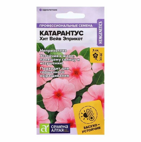 семена цветы комн Катарантус Хит Вейв Эприкот ЦП 5шт 30см d-5см/СемАлт/10