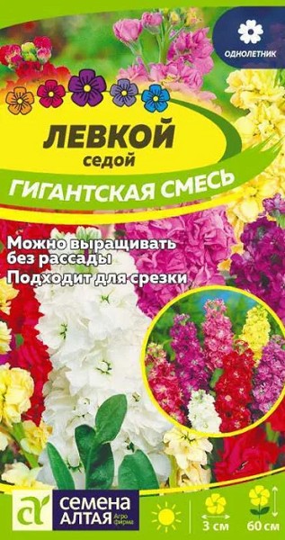 семена цветы Левкой Гигантская смесь окр.ЦП 0,1гр седой, однолет.средн h-60см d-3см/СемАлт/10