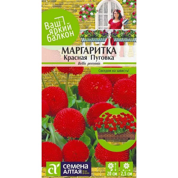 семена цветы Маргаритка Красная Пуговка помпонная ЦП 0,02гр двулетн.средн h-20см d-2.5см/СемАлт/10