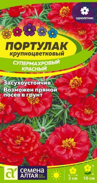 семена цветы Портулак Супермахровый Красный ЦП 0,02гр однолет. h-10см, d-5см/СемАлт/10