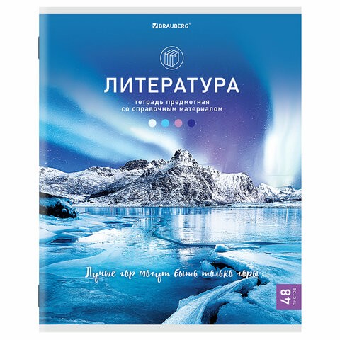 тетрадь тематическая 48л линия А5 