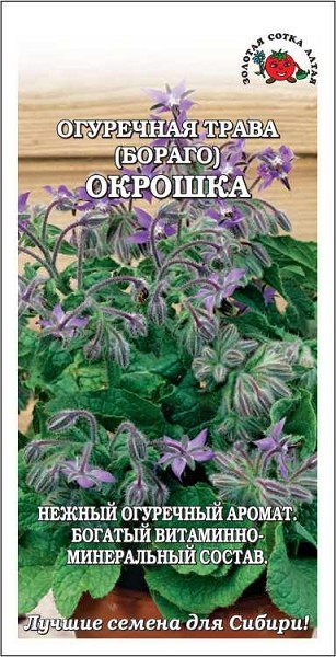 семена Зелень Огуречная трава Окрошка ЦП 0,5гр/ЗолС/10