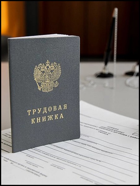 бланк документа "Трудовая книжка" Госзнак в тв.обл. 88*125мм/Рел/25