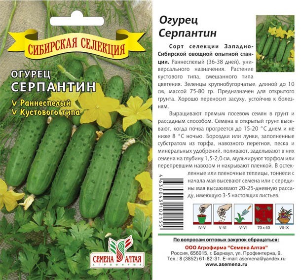 семена Огурец Серпантин (Сиб.коллекция) БП 0,5гр раннесп.откр.грунт./СемАлт/20