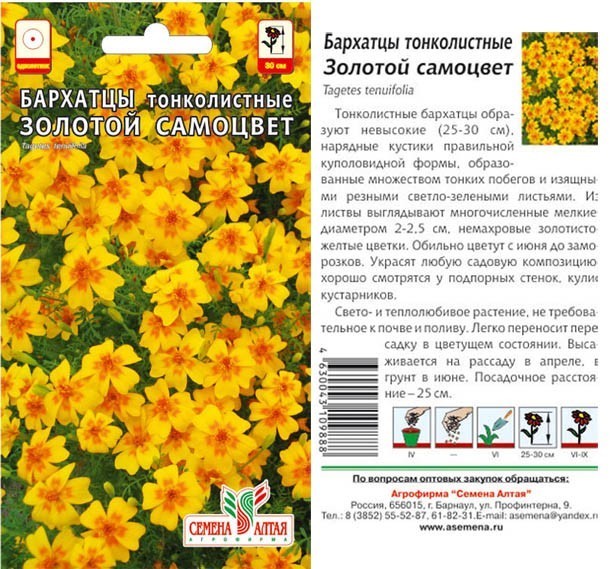 семена цветы Бархатцы Золотой Самоцвет тонколистн. ЦП 0,1гр однолет.мелк h-25-30см d-2-2,5см /СемАлт/10