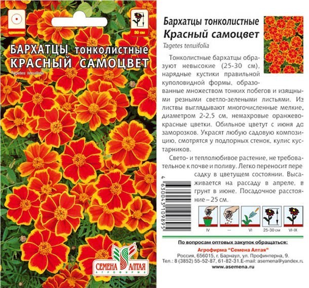 семена цветы Бархатцы Красный Самоцвет тонколистн. ЦП 0,1гр однолет.мелк h-25-30см d-2-2,5см /СемАлт/10