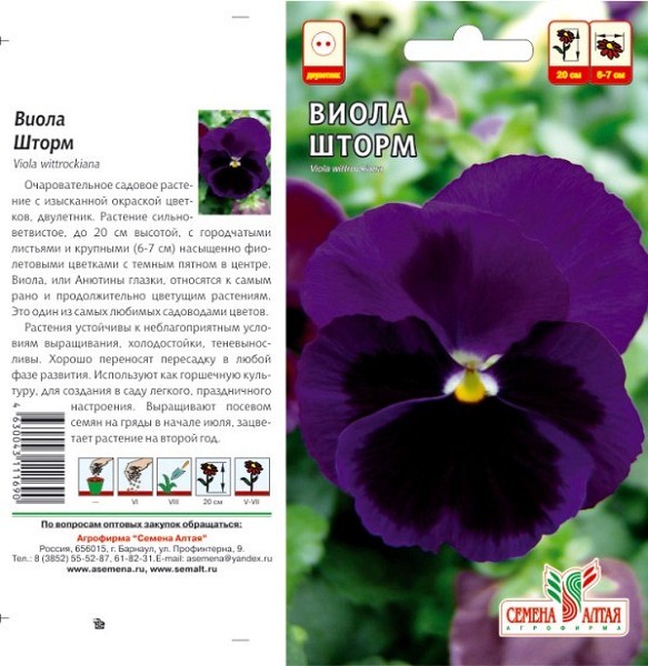 семена цветы Виола Шторм ЦП 0,1гр двулетн.крупн h-20см d6-7см /СемАлт/10