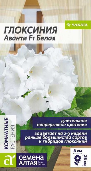 семена цветы комн Глоксиния Аванти Белая F1 ЦП 8шт h-25см d-8см/СемАлт/5