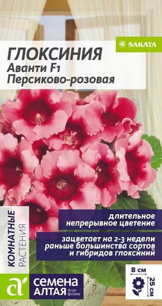 семена цветы комн Глоксиния Аванти Персиково-роз.F1 ЦП 8шт h-25см d-8см/СемАлт/5
