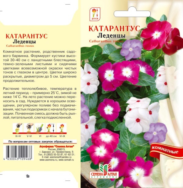 семена цветы комн Катарантус Леденцы смесь ЦП 0,05гр 40см d-3см/СемАлт/10