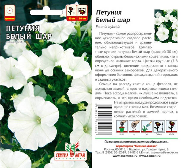 семена цветы Петуния Белый Шар ЦП 0,1гр однолет.средн. h-30см d-8 см/СемАлт/10