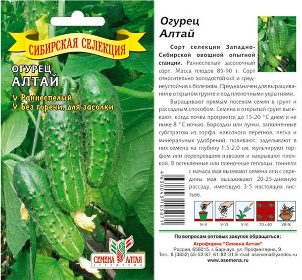 семена Огурец Алтай (Сиб.Селекция) БП 0,5гр  раннесп.откр.грунт.засол./СемАлт/20