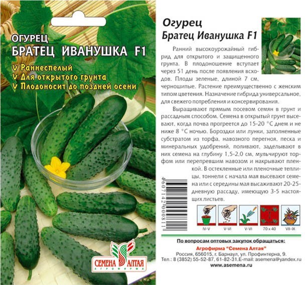 семена Огурец Братец Иванушка БП 0.3гр раннеспелый, для откр. и защ.грунта/СемАлт/20