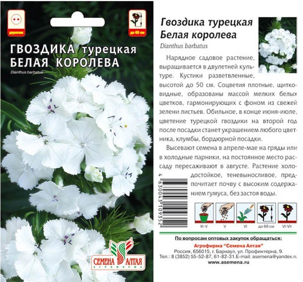 семена цветы Гвоздика Турецкая Белая Королева ЦП 0,2гр двулетн.мелк.соц h-50см d-10см/СемАлт/10