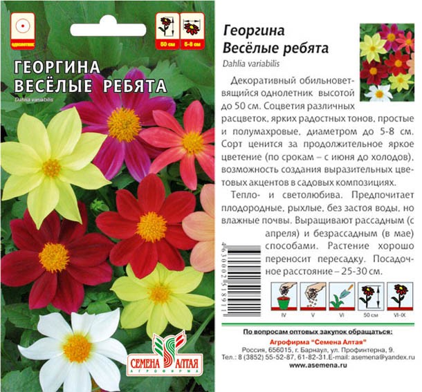 семена цветы Георгина Веселые ребята изменчивая ЦП 0,2гр однолет.средн h-50см d-5-8см/СемАлт/10