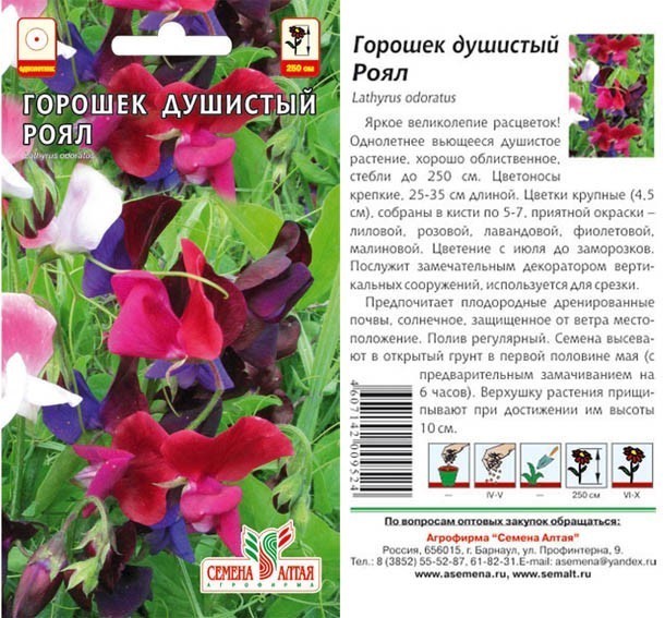 семена цветы Душистый горошек Роял вьющ. ЦП 0,5гр однолет.250см/СемАлт/10