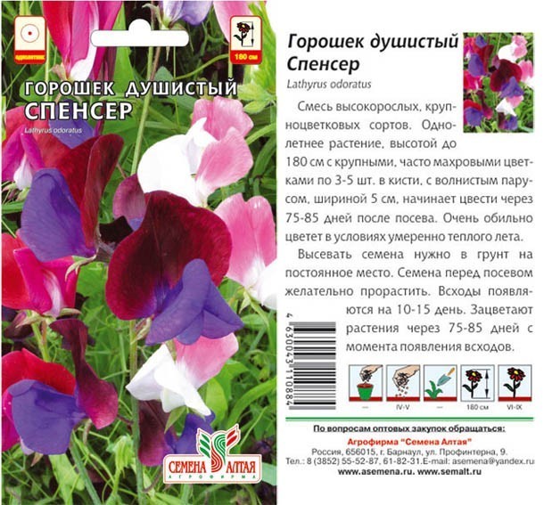 семена цветы Душистый горошек Спенсер Смесь ЦП 0,5гр однолет.200см.средн.соц/СемАлт/10