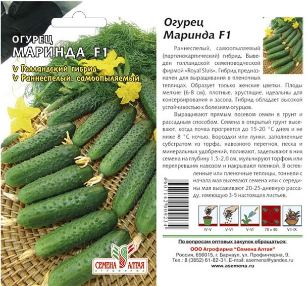семена Огурец Маринда F1 ЦП 5шт раннесп.засол., самооп., для откр.и закр.грунта/СемАлт/10