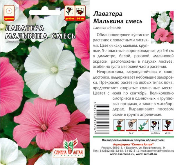 семена цветы Лаватера Мальвина Смесь ЦП 0,2гр однолет.средн. h-100см d-10см/СемАлт/10
