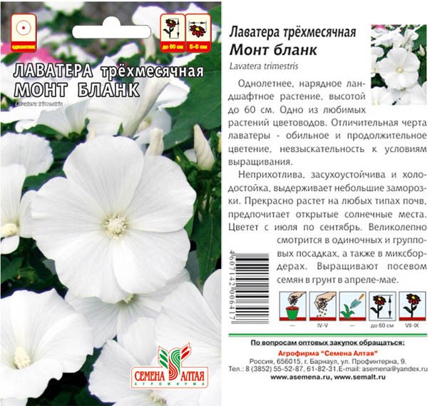 семена цветы Лаватера Монт Бланк ЦП 0,2гр однолет.75см.крупн d-8см./СемАлт/10