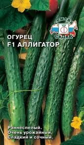 семена Огурец Аллигатор китайский F1 ЦП  холодоуст., для  откр.грунта и плен.теплиц/Седек/10