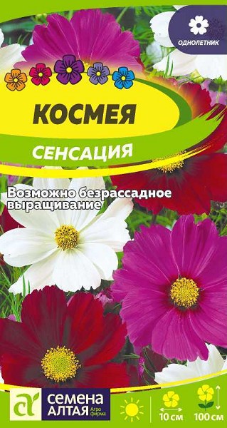 семена цветы Космея Сенсация ЦП 0.5гр однолет.крупн h-100см d-10см/СемАлт/10