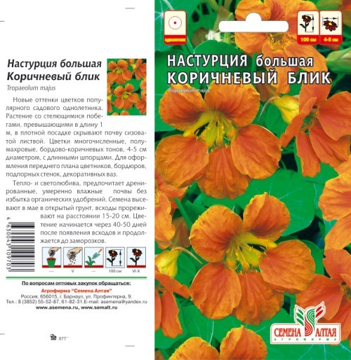 семена цветы Настурция Коричневый Блик ЦП 0.5гр h-100см d-6-8см/СемАлт/10