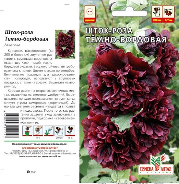 семена цветы Шток-Роза Темно-бордовая ЦП 0,1гр махровая 200см d-10см/СемАлт/10